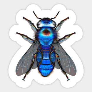 Third Bee Sticker